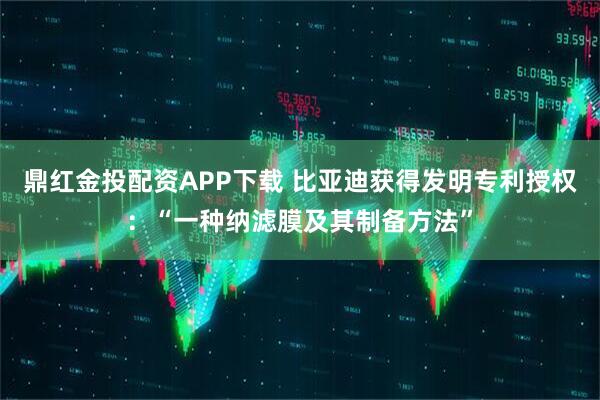 鼎红金投配资APP下载 比亚迪获得发明专利授权：“一种纳滤膜及其制备方法”